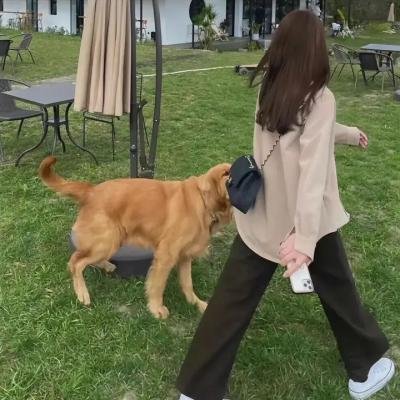 蒲公英的灰尘
